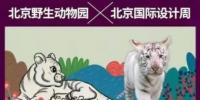 给大家点评imtoken以太坊钱包安全吗(以太币的交易完全免费)